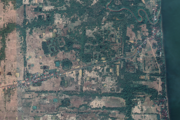 modelisation-3d-jungle-laos Modélisation 3D des temples enfouis au Laos