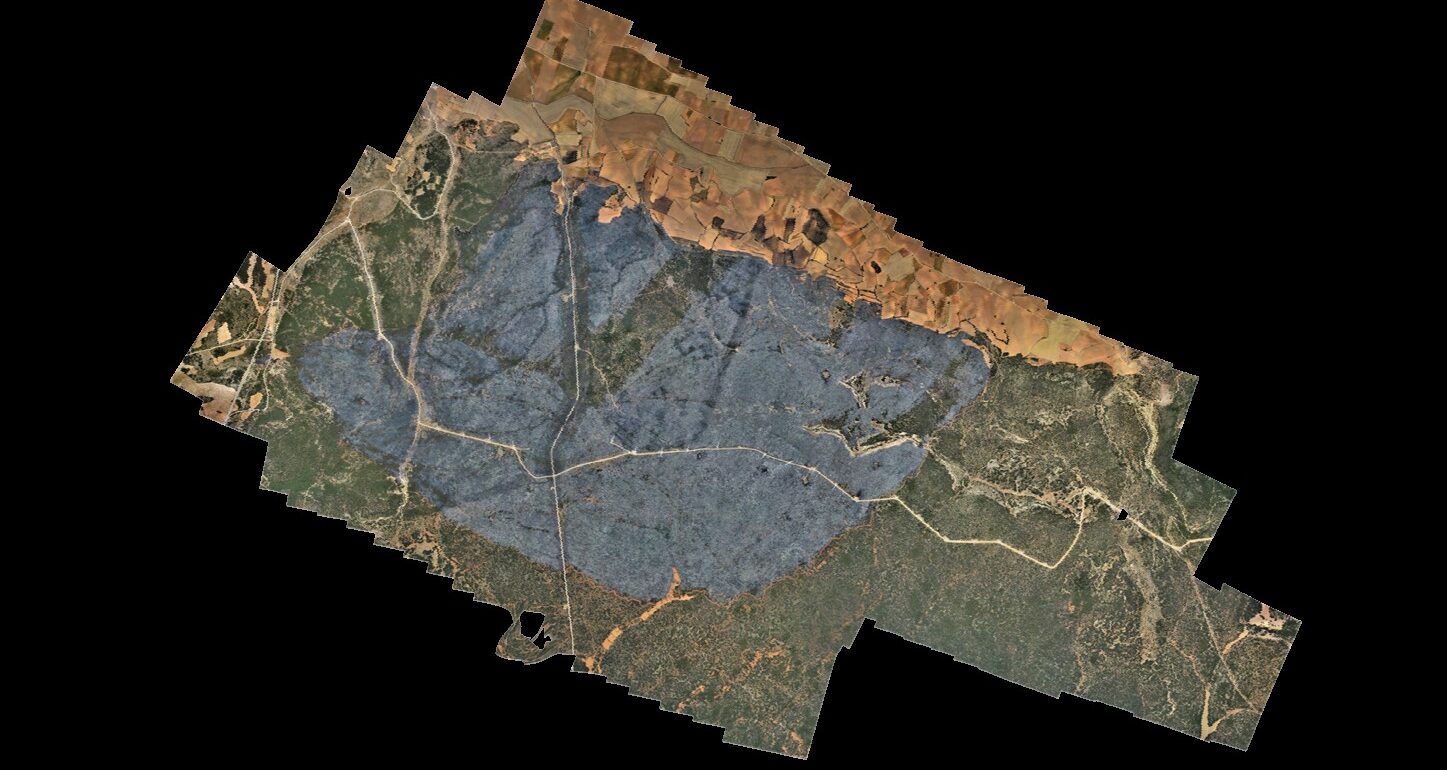 Représentation orthomosaïque